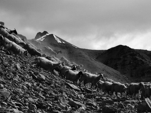 如何配置檔案室用房的防火門？（da/t106—t106—t106—2025防火門配置指南） 行業(yè)新聞 第1張