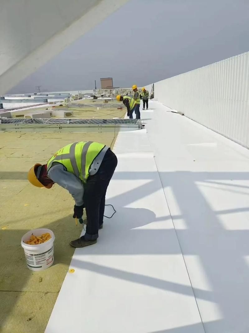 如何選擇適合的屋面板防水材料（北京地區(qū)屋面板防水材料選擇） 行業(yè)新聞 第2張