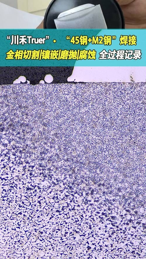 鋼結(jié)構(gòu)住宅的維護成本如何 行業(yè)新聞 第3張