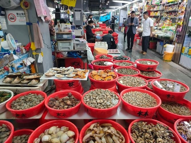 江門水族批發(fā)市場（江門水族批發(fā)市場1.龍魚批發(fā)|觀賞魚批發(fā)視頻網(wǎng)） 行業(yè)新聞 第6張