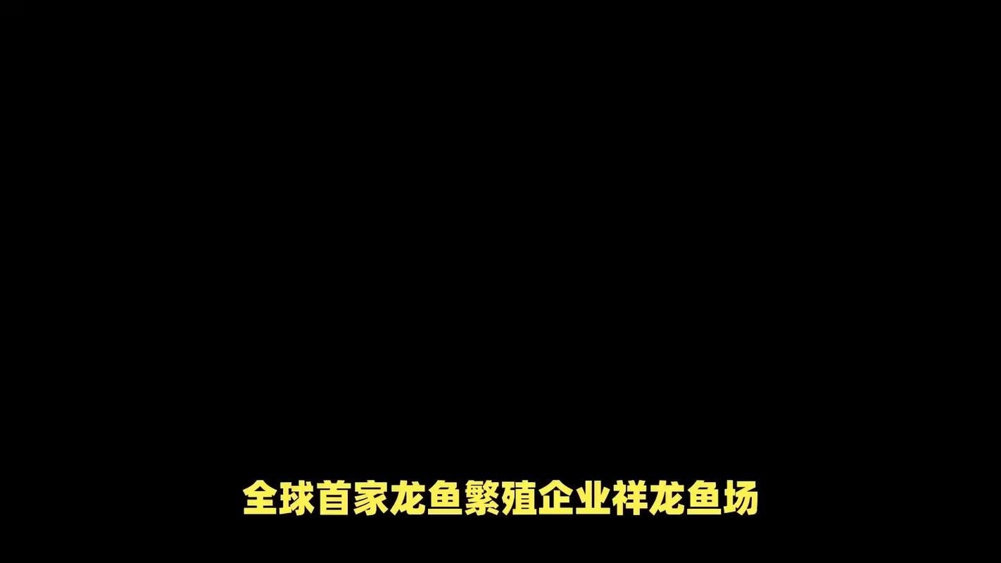 江門水族批發(fā)市場（江門水族批發(fā)市場1.龍魚批發(fā)|觀賞魚批發(fā)視頻網(wǎng)） 行業(yè)新聞 第7張