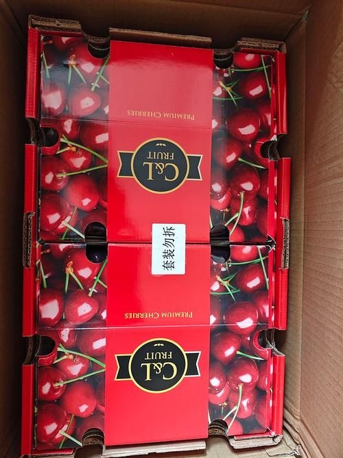 有哪些品牌值得考慮？（2026年初中國主流消費(fèi)趨勢深度演進(jìn)的“值得重點(diǎn)考慮”） 行業(yè)新聞 第17張