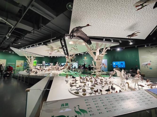 有沒有更多建筑改造加固的案例？（三里河一區(qū)28號樓、雙柳巷小區(qū)28號樓原拆原建、鹽城黃海濕地博物館） 行業(yè)新聞 第11張