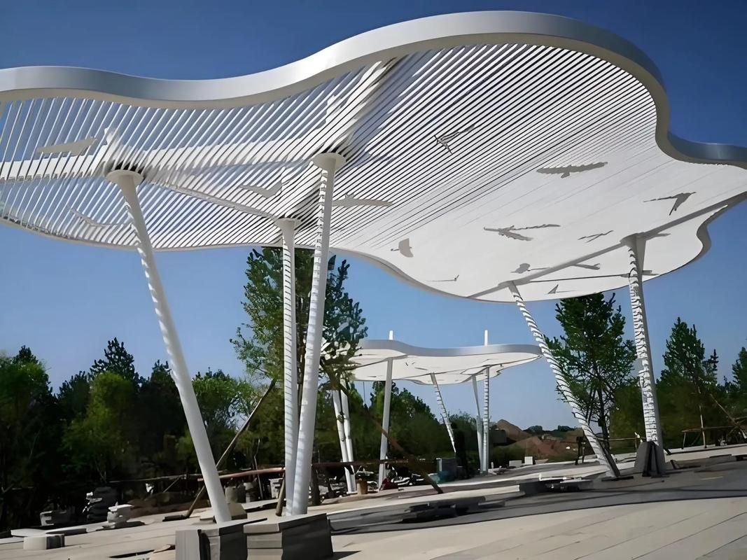 哪里可以找到高清的異形鋼結(jié)構(gòu)圖片？ 行業(yè)新聞 第3張