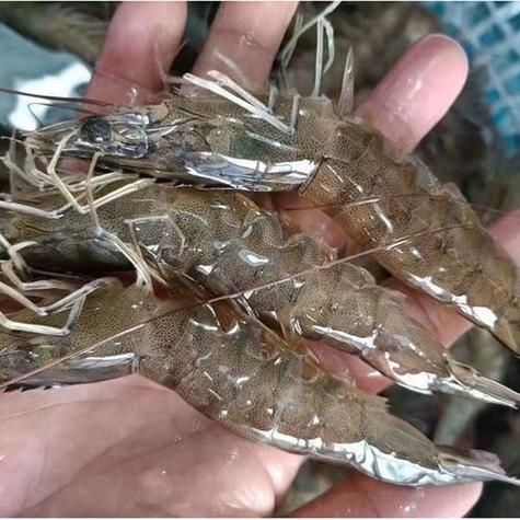 如何判斷注膠是否飽滿？（如何判斷注膠是否飽滿） 行業(yè)新聞 第12張