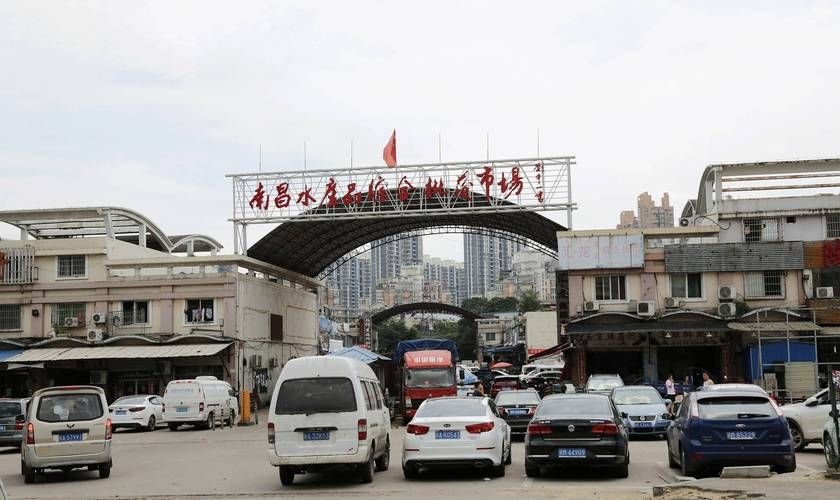 南昌水族批發(fā)市場(chǎng)（南昌水族批發(fā)市場(chǎng)\