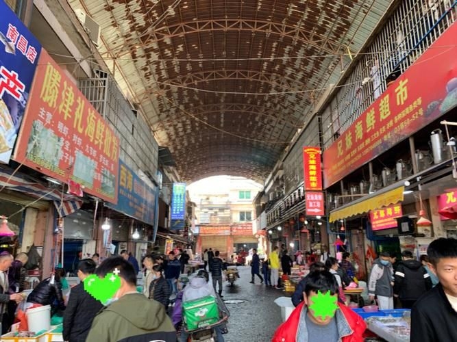 南昌水族批發(fā)市場(chǎng)（南昌水族批發(fā)市場(chǎng)\