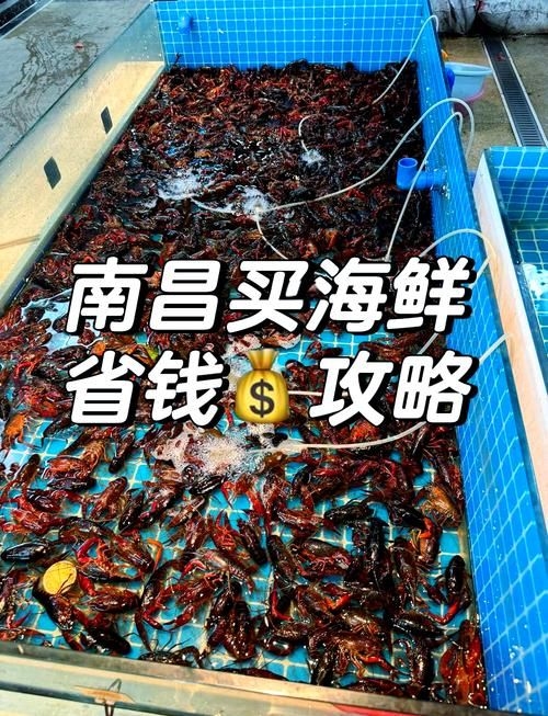 南昌水族批發(fā)市場(chǎng)（南昌水族批發(fā)市場(chǎng)\