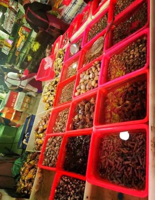 南昌水族批發(fā)市場(chǎng)（南昌水族批發(fā)市場(chǎng)\