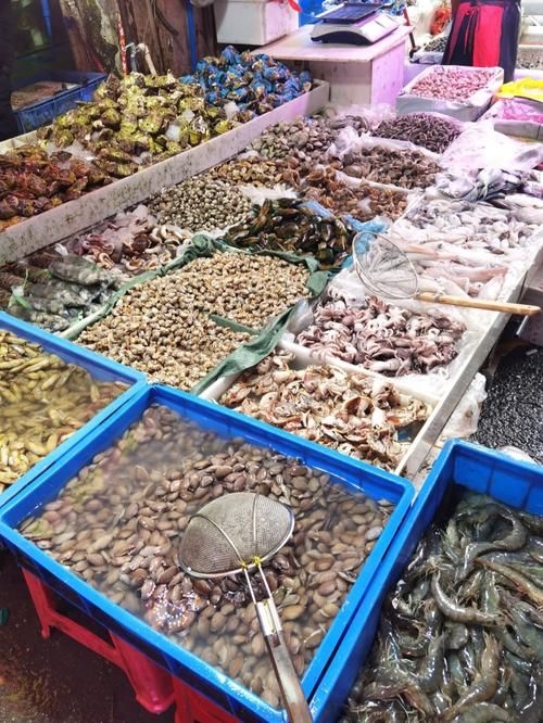 南昌水族批發(fā)市場(chǎng)（南昌水族批發(fā)市場(chǎng)\