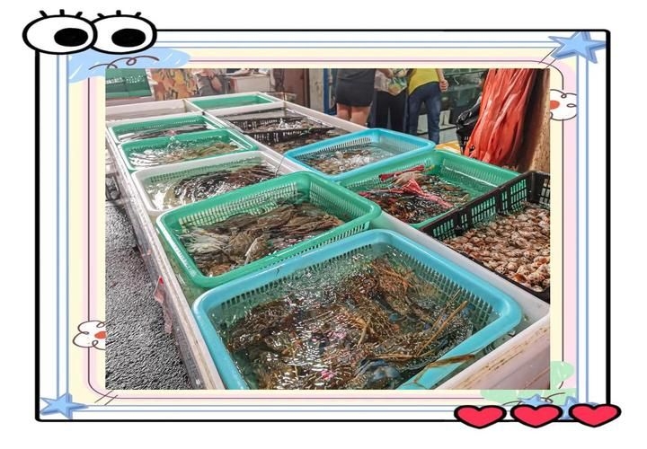 南昌水族批發(fā)市場(chǎng)（南昌水族批發(fā)市場(chǎng)\