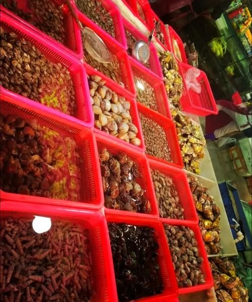 南昌水族批發(fā)市場(chǎng)（南昌水族批發(fā)市場(chǎng)\