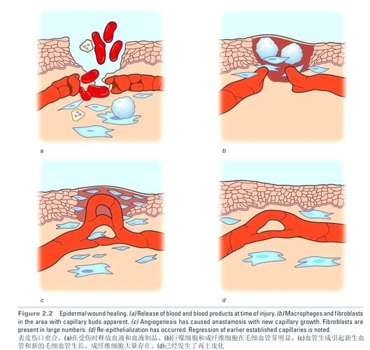 哪種補(bǔ)救方法副作用最小？ 行業(yè)新聞 第1張