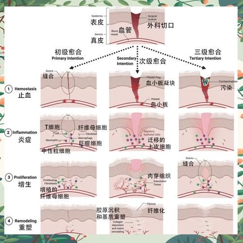 哪種補(bǔ)救方法副作用最??？ 行業(yè)新聞 第3張
