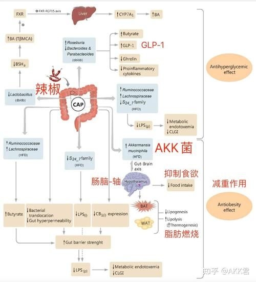 哪種補(bǔ)救方法副作用最??？ 行業(yè)新聞 第7張