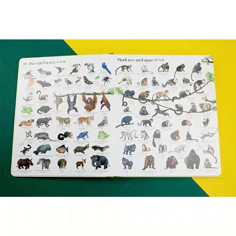 這本書有哪些特點(diǎn)？ 行業(yè)新聞 第3張