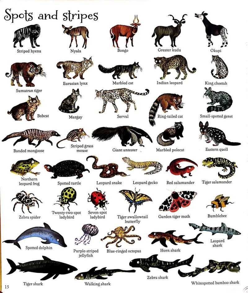 這本書有哪些特點(diǎn)？ 行業(yè)新聞 第5張