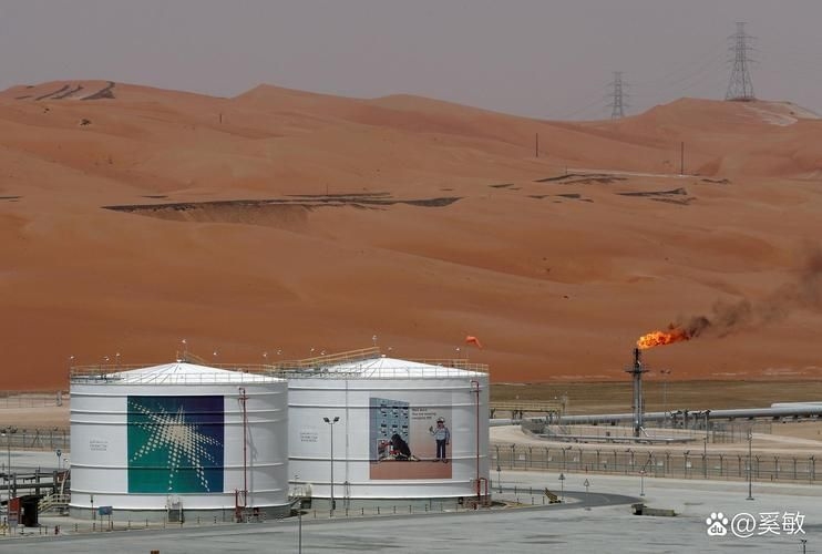 這些上市公司中哪家營(yíng)收最高（2024年全球上市公司營(yíng)收排名） 行業(yè)新聞 第3張