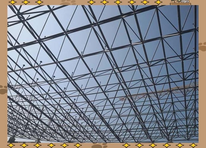 有哪些高質(zhì)量的網(wǎng)架結(jié)構(gòu)圖片？（如何找到高質(zhì)量的網(wǎng)架結(jié)構(gòu)圖片？） 行業(yè)新聞 第12張