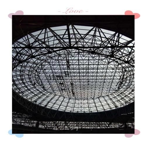 有哪些高質(zhì)量的網(wǎng)架結(jié)構(gòu)圖片？（如何找到高質(zhì)量的網(wǎng)架結(jié)構(gòu)圖片？） 行業(yè)新聞 第23張