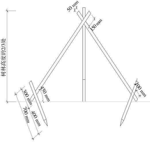 如何安裝樹木支撐桿？（如何安裝樹木支撐桿，用戶要求1000字詳解+配圖） 行業(yè)新聞 第1張