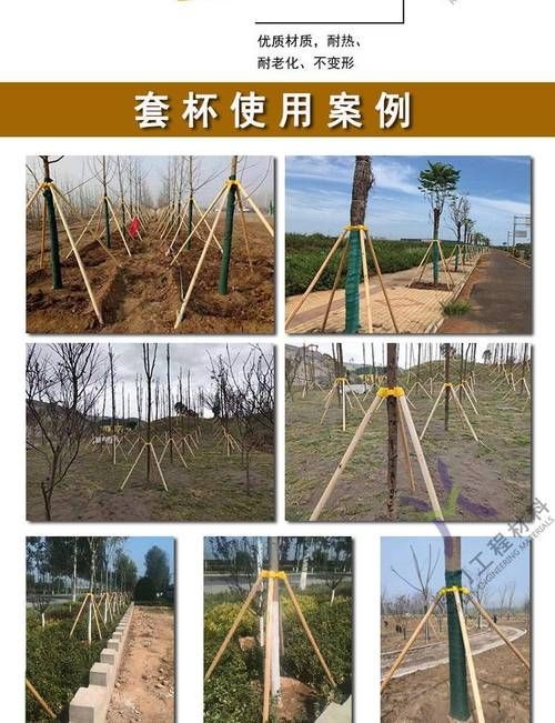 如何安裝樹木支撐桿？（如何安裝樹木支撐桿，用戶要求1000字詳解+配圖） 行業(yè)新聞 第6張