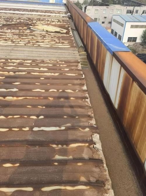 如何預(yù)防鋼結(jié)構(gòu)施工中的常見問題？ 行業(yè)新聞 第12張