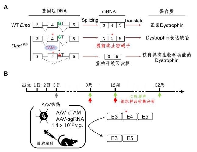 這些新技術(shù)中哪項最具創(chuàng)新性（2025-2026年全球權(quán)威機(jī)構(gòu)發(fā)布十大突破性技術(shù)） 行業(yè)新聞 第1張