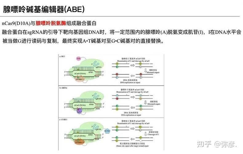 這些新技術(shù)中哪項最具創(chuàng)新性（2025-2026年全球權(quán)威機(jī)構(gòu)發(fā)布十大突破性技術(shù)） 行業(yè)新聞 第3張