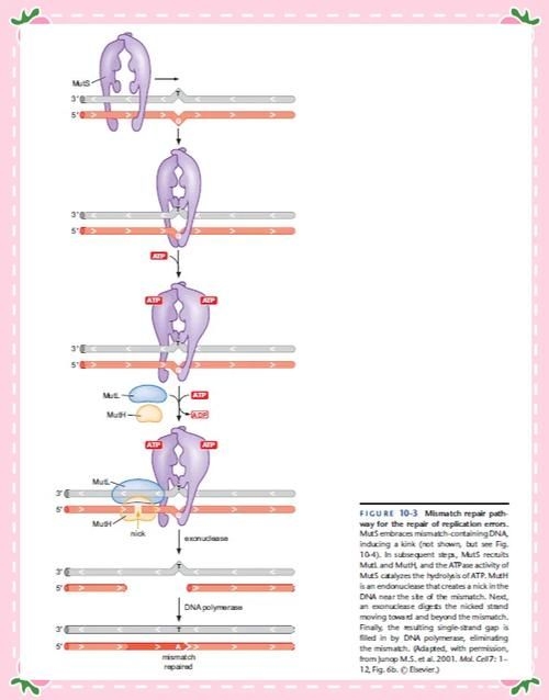 這些新技術(shù)中哪項最具創(chuàng)新性（2025-2026年全球權(quán)威機(jī)構(gòu)發(fā)布十大突破性技術(shù)） 行業(yè)新聞 第4張