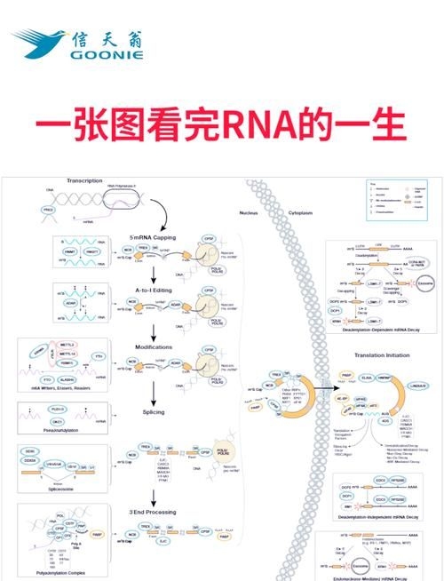 這些新技術(shù)中哪項最具創(chuàng)新性（2025-2026年全球權(quán)威機(jī)構(gòu)發(fā)布十大突破性技術(shù)） 行業(yè)新聞 第5張